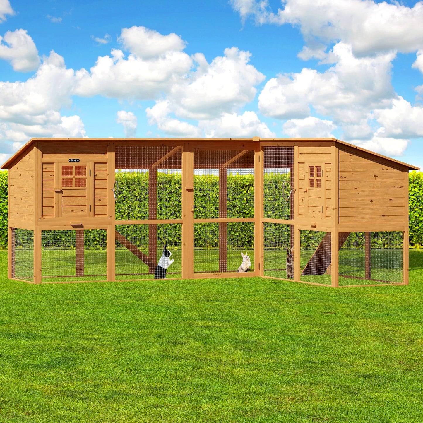 Clapier pour lapins et petits animaux